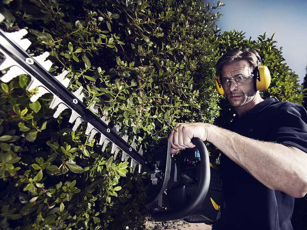 🏆 Guide d'achat des taille-haies